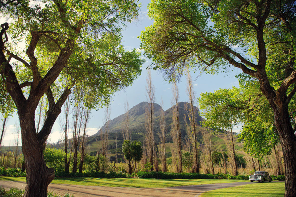 Molenvliet Vineyards Hotel Stellenbosch Kültér fotó